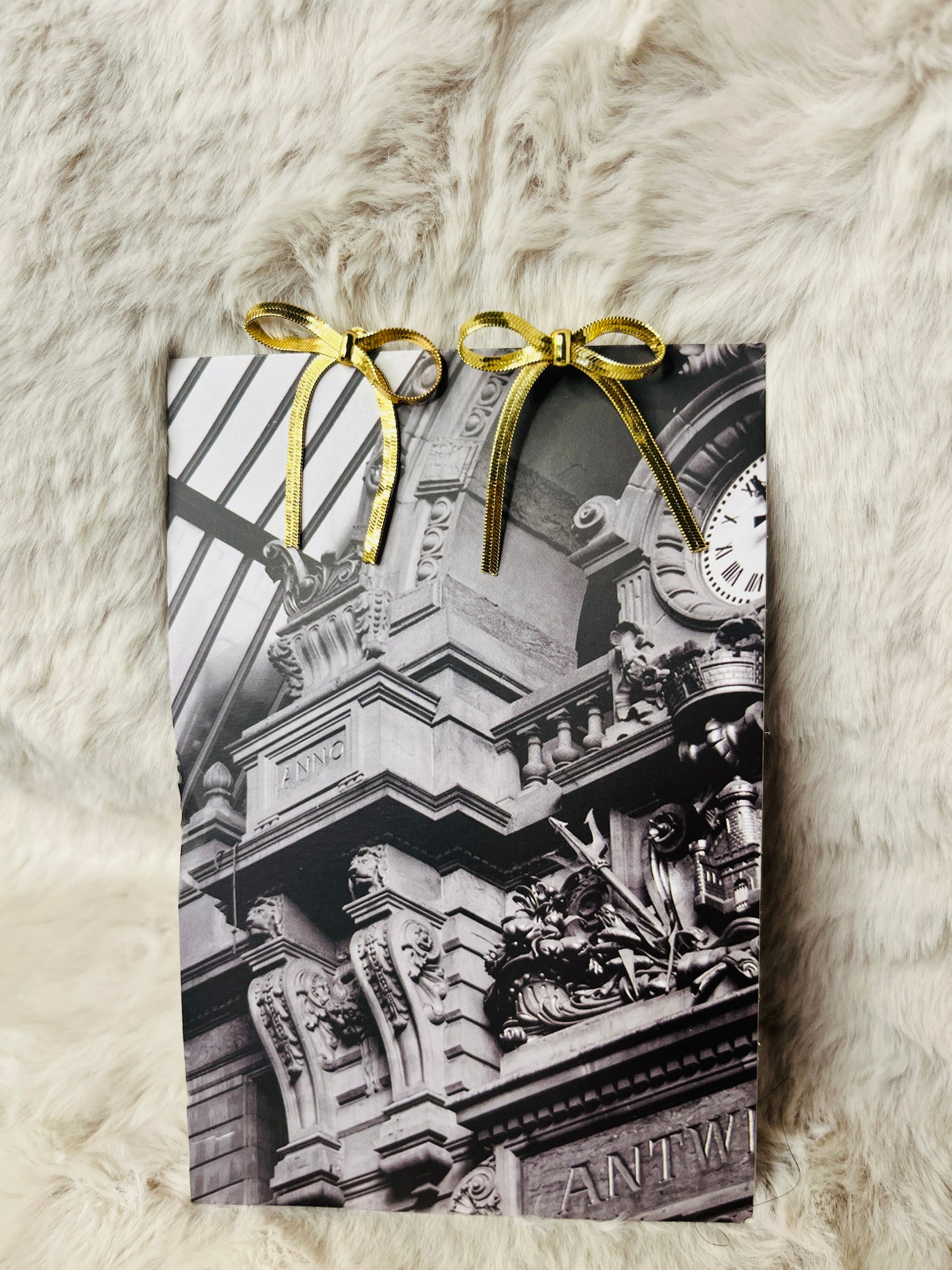 SAJA BOWS EARRINGS