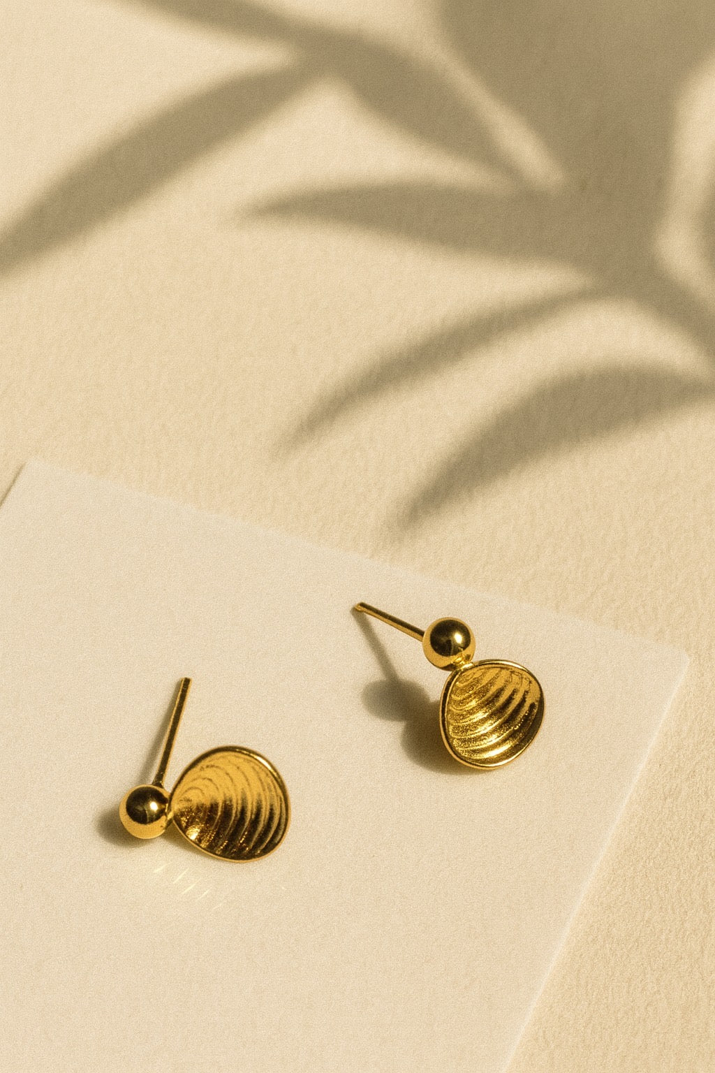 GOLDEN SHELL STUDS